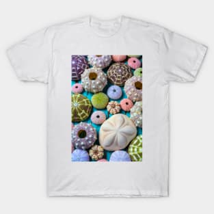 Wonderful Collection Of Sea Urchins T-Shirt